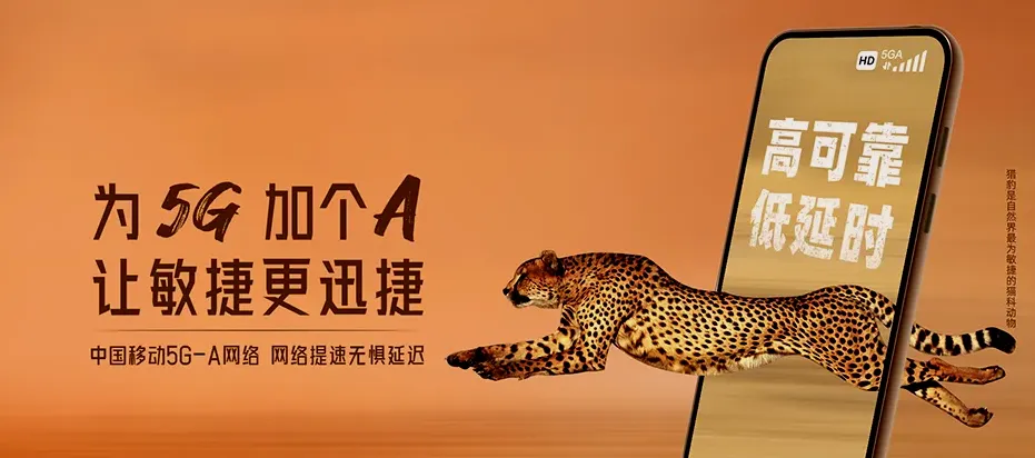 祁阳市祁阳市进宝塘镇 移动宽带